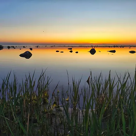 Elly Kodumajutus Kihnus Lejlighed Linaküla