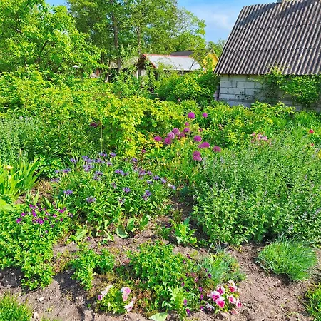 Apartament Elly Kodumajutus Kihnus Linaküla