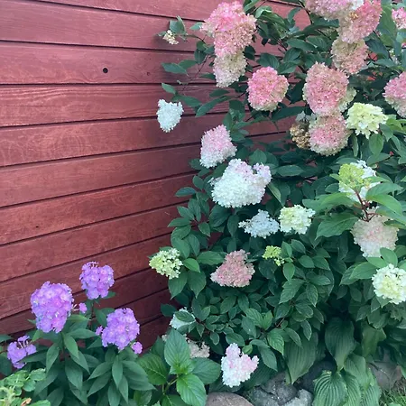 Elly Kodumajutus Kihnus *