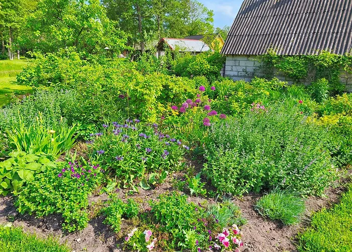 Apartment Elly Kodumajutus Kihnus Linakula