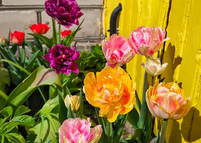 Elly Kodumajutus Kihnus Apartment