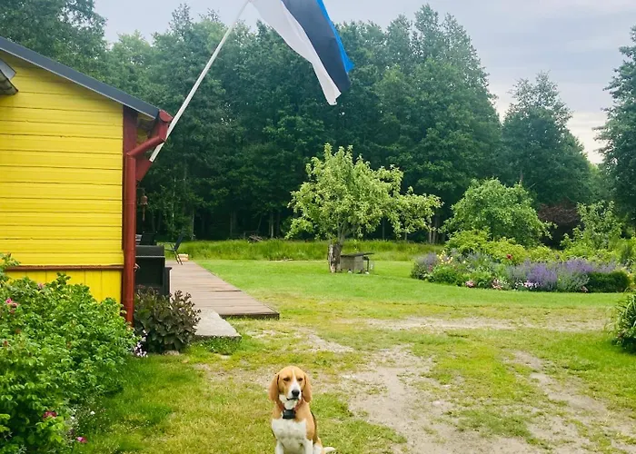 Elly Kodumajutus Kihnus