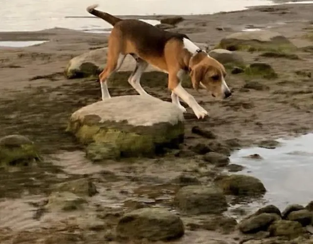 Elly Kodumajutus Kihnus *