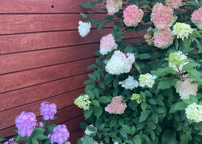 Elly Kodumajutus Kihnus *